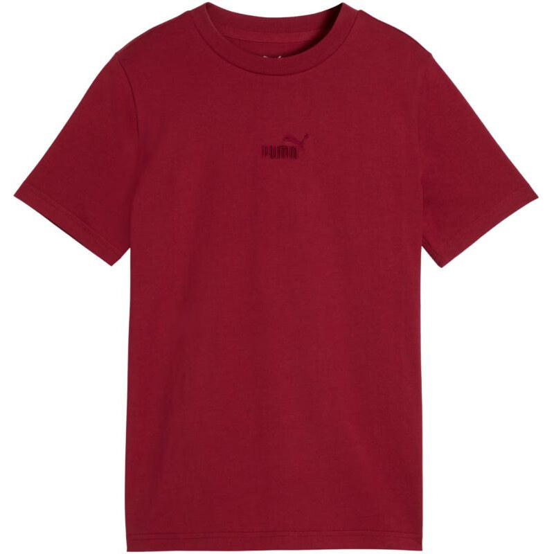 Dětské tričko Puma ESS Small No.1 Logo Centered Tee, hnědé,