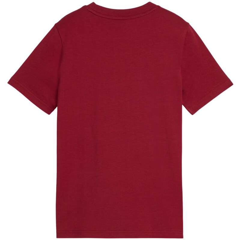Dětské tričko ESS Small No.1 Logo Tee, hnědé, velikost 23 model