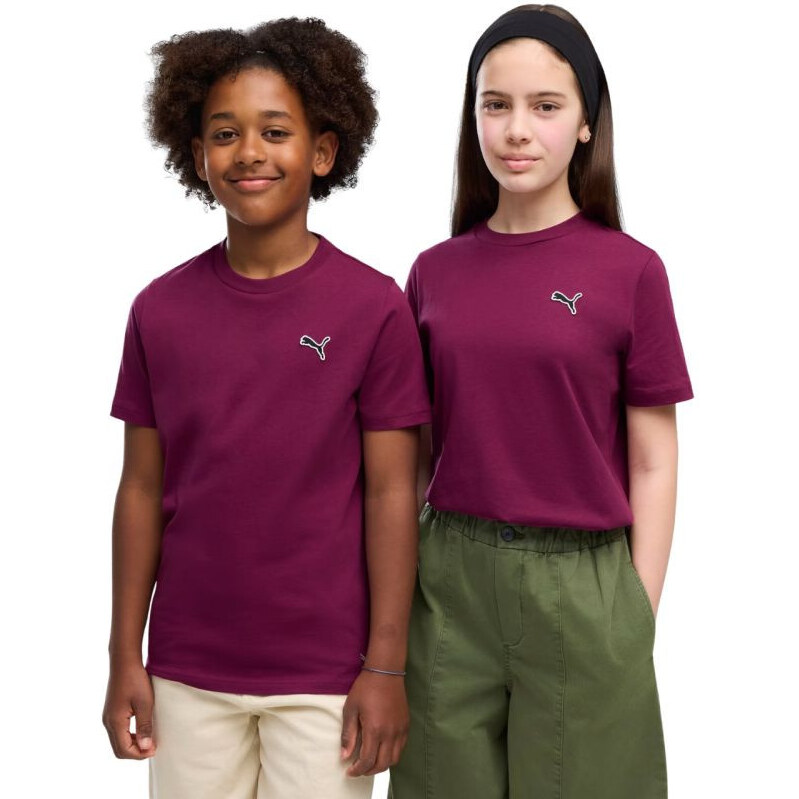 Dětské tričko Puma Cls Badge Cat Tee, fialové, 694700, velikost