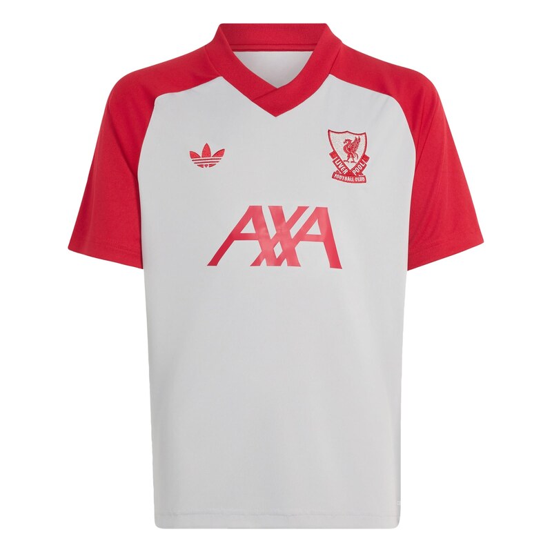 ADIDAS PERFORMANCE Funkční tričko FC Liverpool 26/27 šedá /