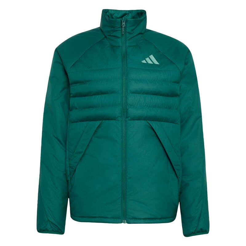ADIDAS TERREX Outdoorová bunda Multi jedle / světle zelená