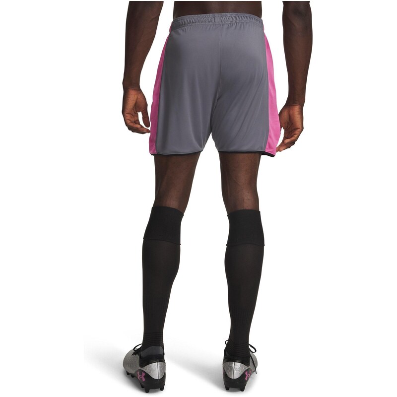 Kraťasy Under Armour Gray / Pink 3738868