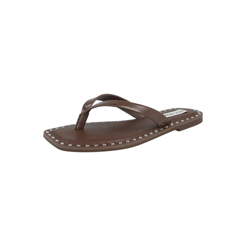 STEVE MADDEN Žabky Rickyy hnědá