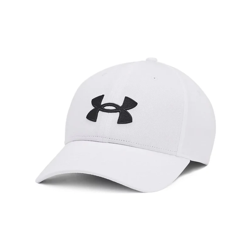 Pánská kšiltovka Under Armour