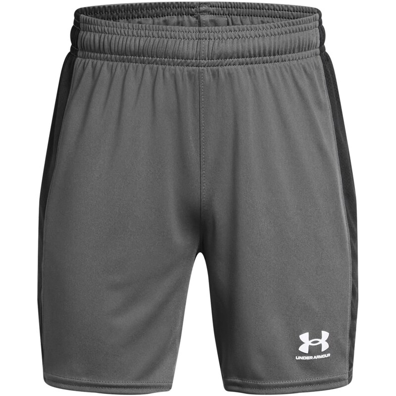 Kraťasy Under Armour Gray 7696145