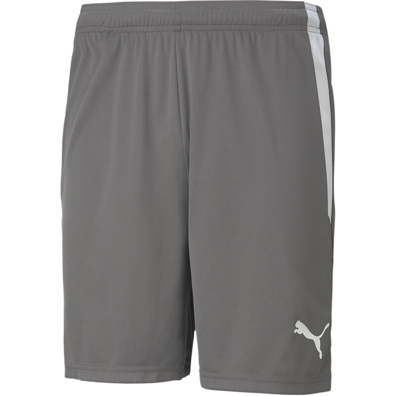 Kraťasy Puma Smoke Pearl/Wht 7919127