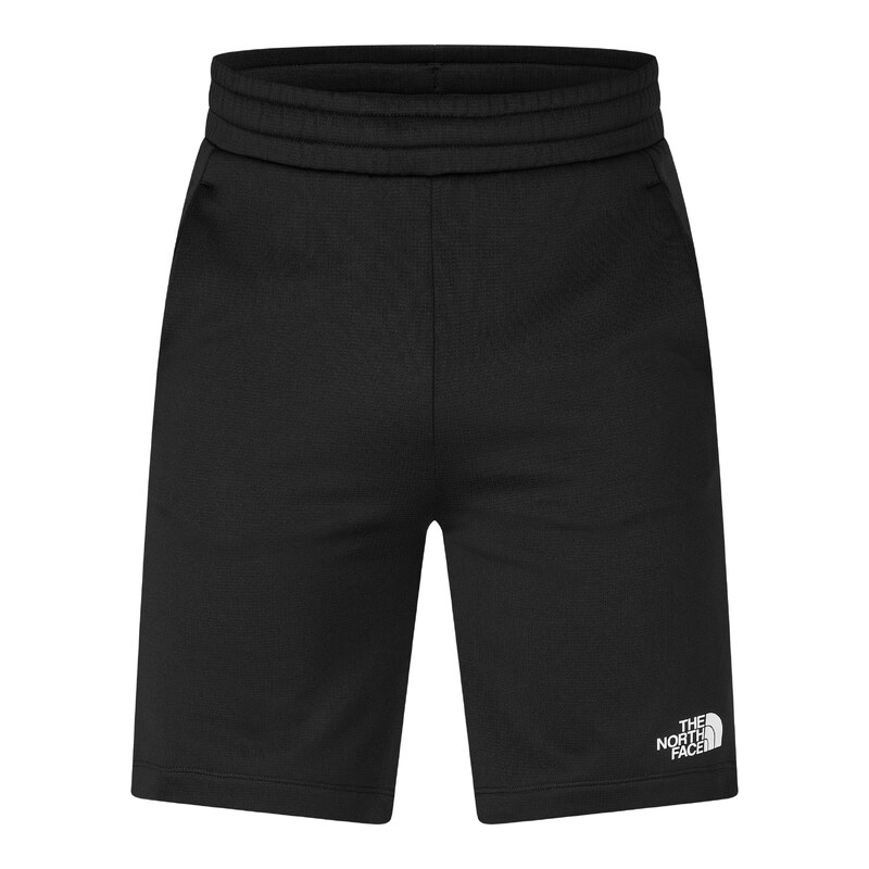 Kraťasy The North Face TNF Black Hthr 1658708
