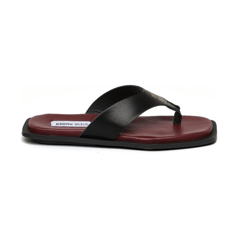Steve Madden Black/Burgundy 1469519