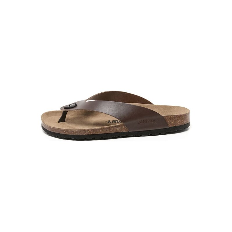 billowy Braun 2543997
