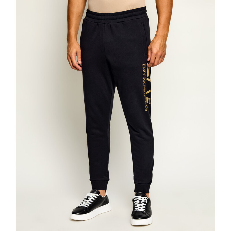 EA7 Tepláky | Regular Fit