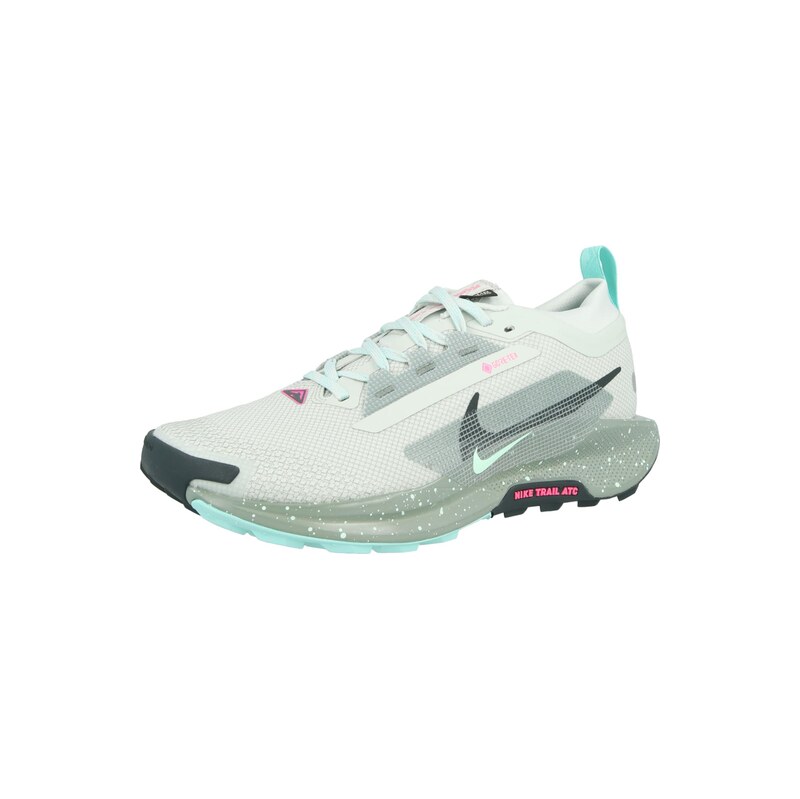 Nike Sportswear Běžecká obuv PEGASUS TRAIL 5 stříbrně šedá /