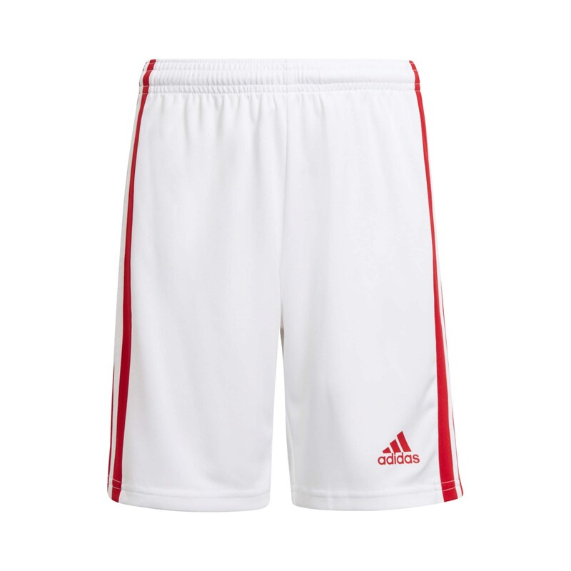 ADIDAS PERFORMANCE Sportovní kalhoty Squadra 21 červená / bílá