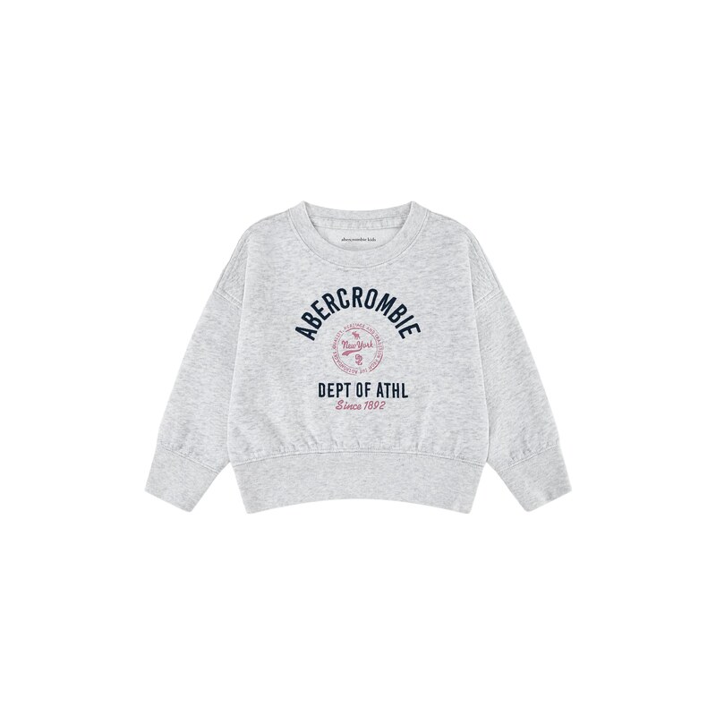 Abercrombie & Fitch Mikina světle šedá / melounová / černá