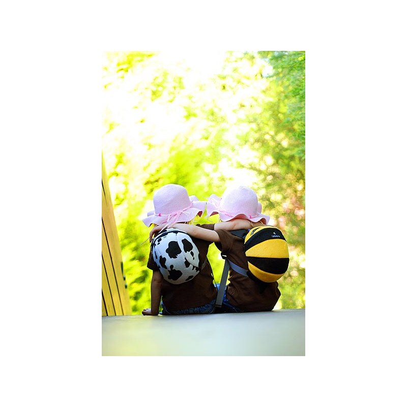 Littlelife Animal Toddler Daysack Bee