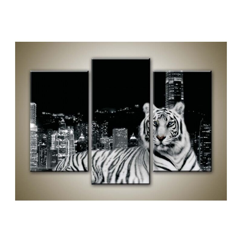 Xdecor Městský tygr (75 x 50 cm) - Třídílný obraz