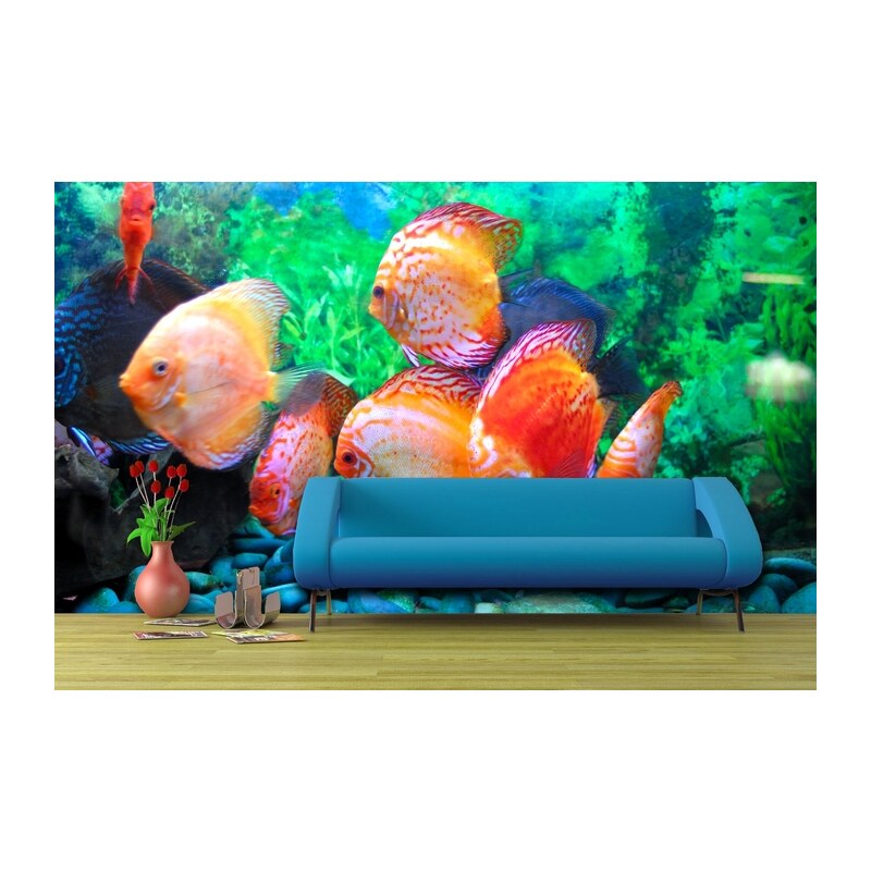 Xdecor Rybky v akváriu (126 x 84 cm) - Fototapeta