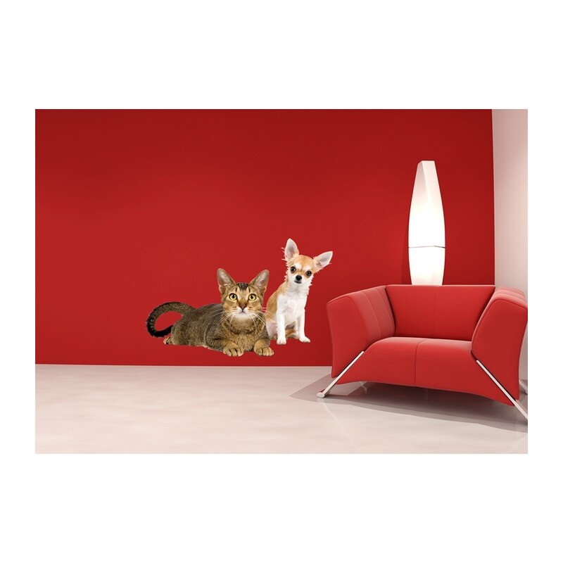 Xdecor Pes a kočka (80 x 50 cm) - Barevná samolepka na zeď
