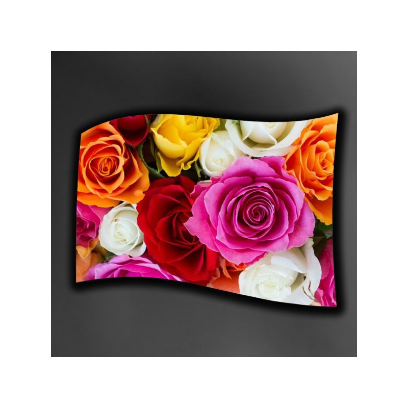 Xdecor Barevné růže 150 x 120 cm - Fleecová deka
