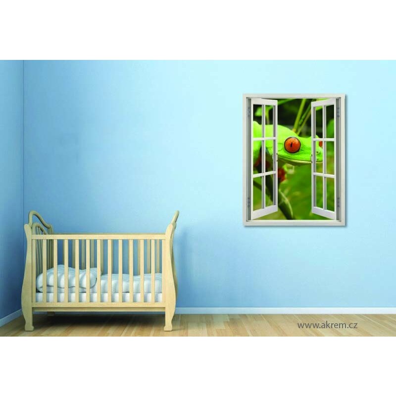 Xdecor Pohled žáby (80 x 62 cm) - Okno živá dekorace