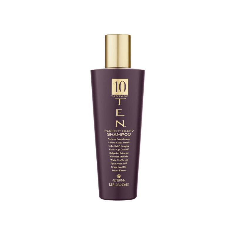 Alterna TEN Perfect Blend Shampoo - vyživující šampon 250ml