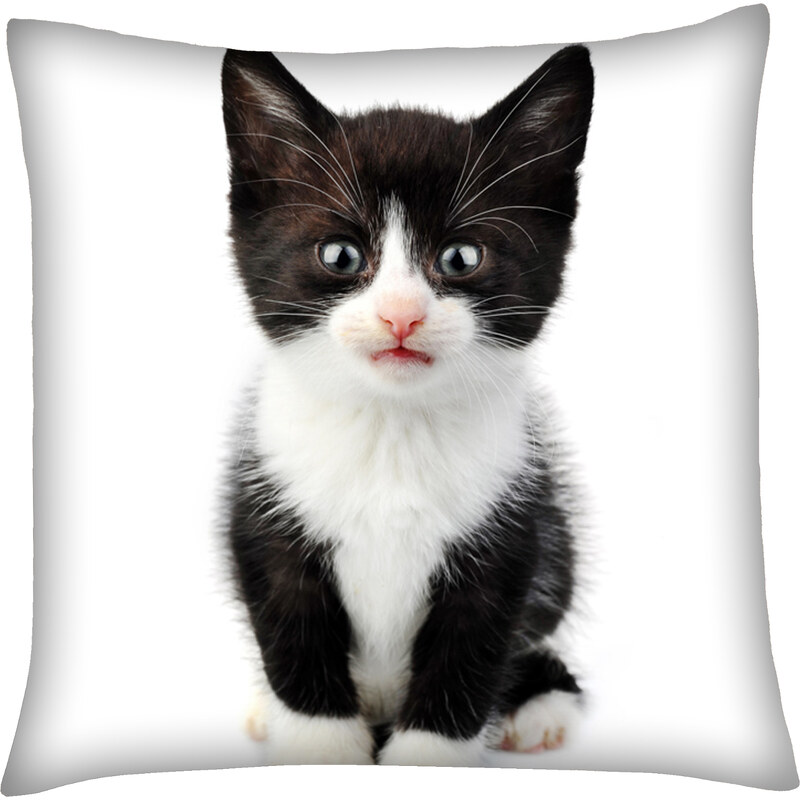 Polštář s motivem kočky 10, černobílá, Mybesthome 40x40 cm