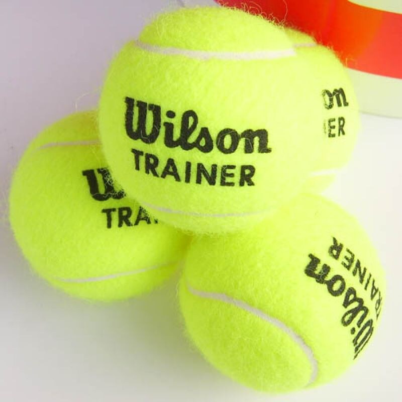 Tenisový míč Wilson Team Trainer 2.015. 1 ks WRT131200 - N/A
