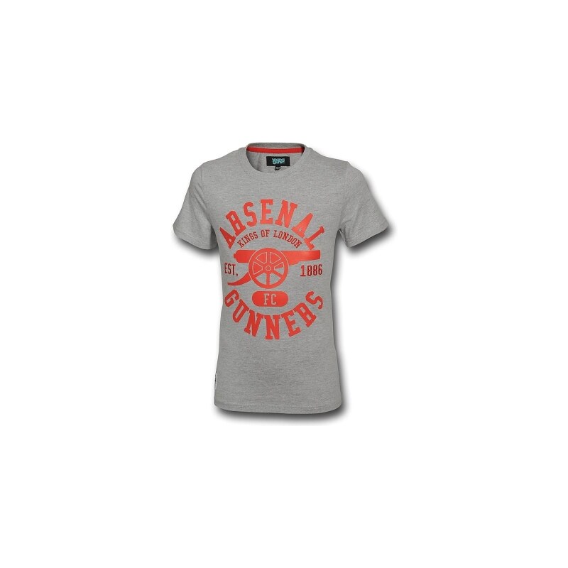 Dětské tričko ARSENAL FC Graphic grey