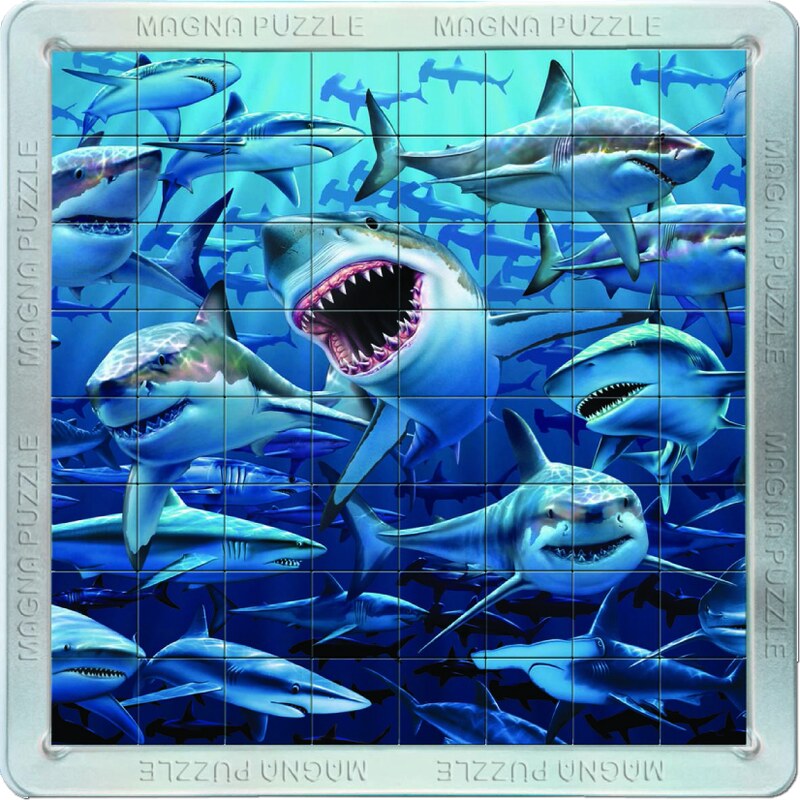 Piatnik 3D magnetické puzzle Žraloci 64 dílků