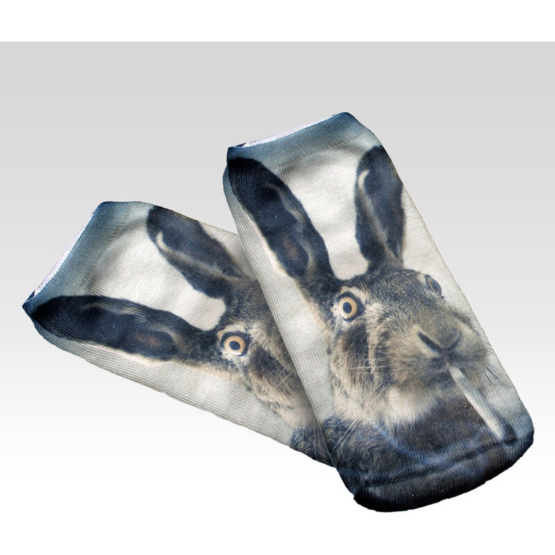 Wayfarer ponožky Hare