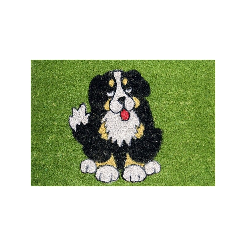 Rohožka Kokos barevná černý pes, Rozměry koberců 40x60