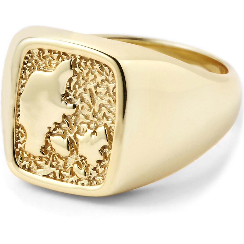 Northern Jewelry Pozlacený prsten ze stříbra 925 Dánsko Danish Tribute In Gold 925s Ring