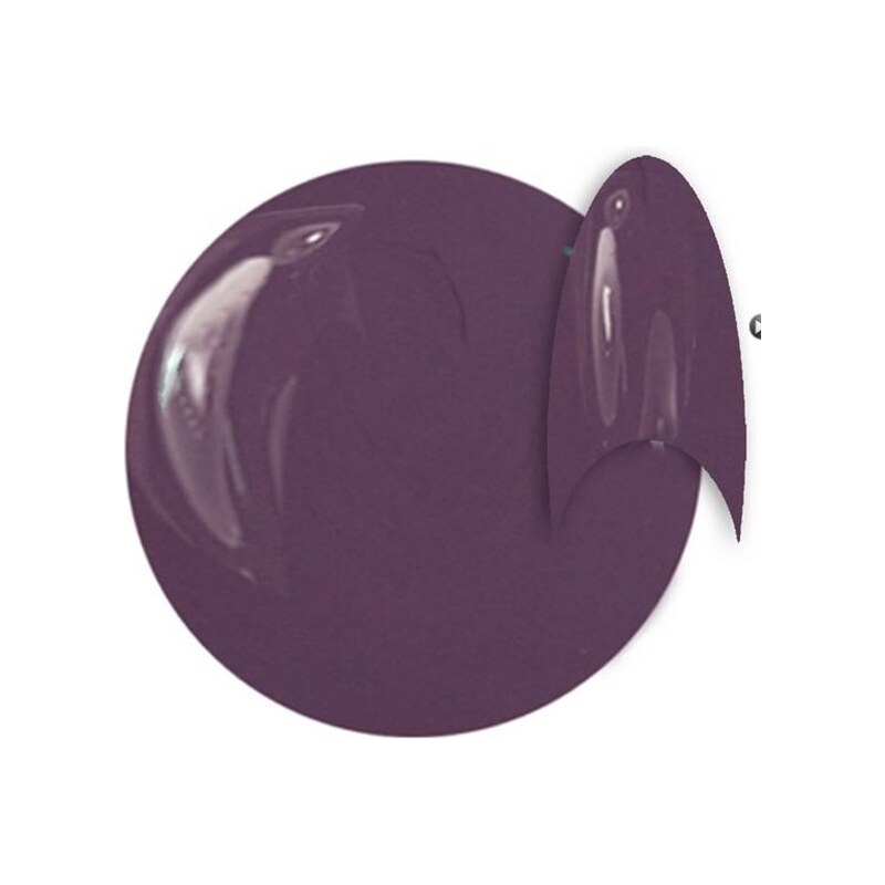 INS Gel lak na nehty 6 ml - Grey Purple