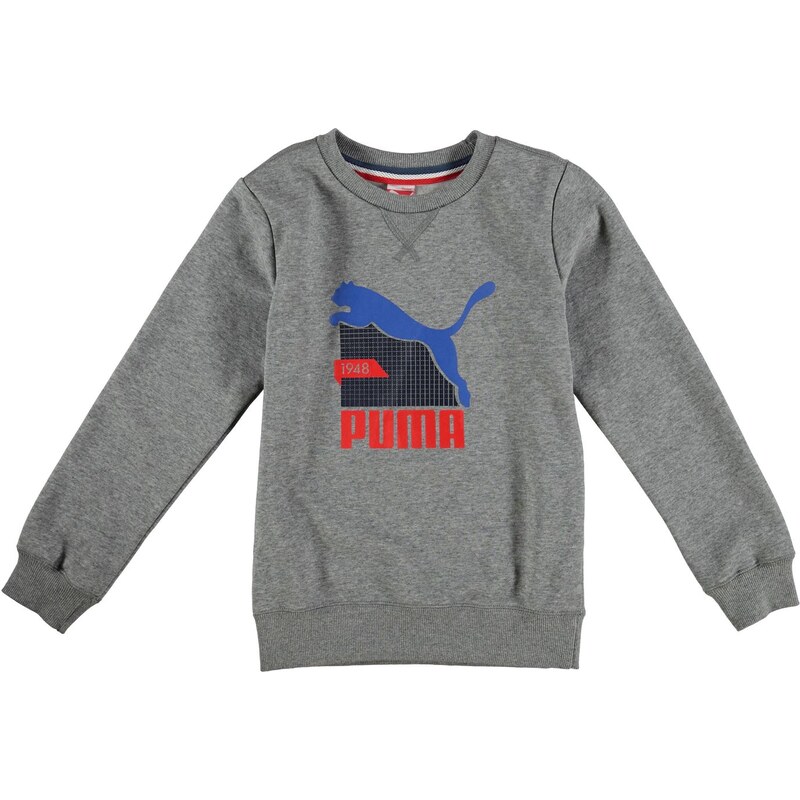 Puma Graph Crew Neck Sweatshirt Junior Boys, grey