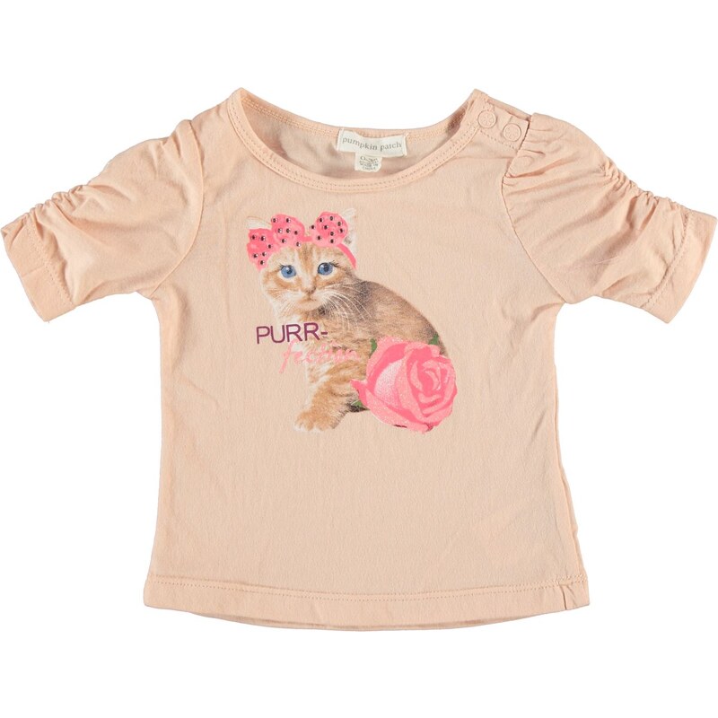 Pumpkin Patch Kitten T Shirt Baby Girls, powder pink