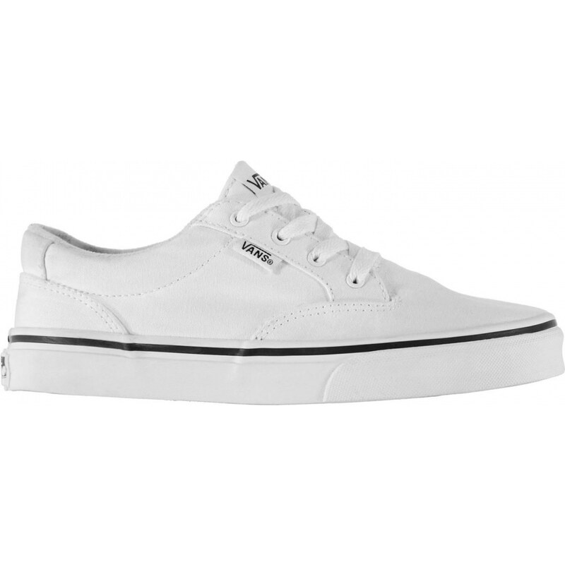 Vans Winston Boys Skate Shoes, white