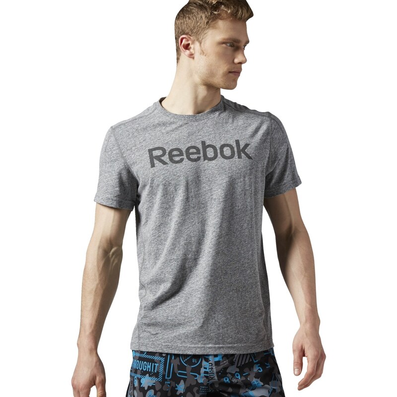 Pánské tričko Reebok Elements Big Logo Tee AY1593