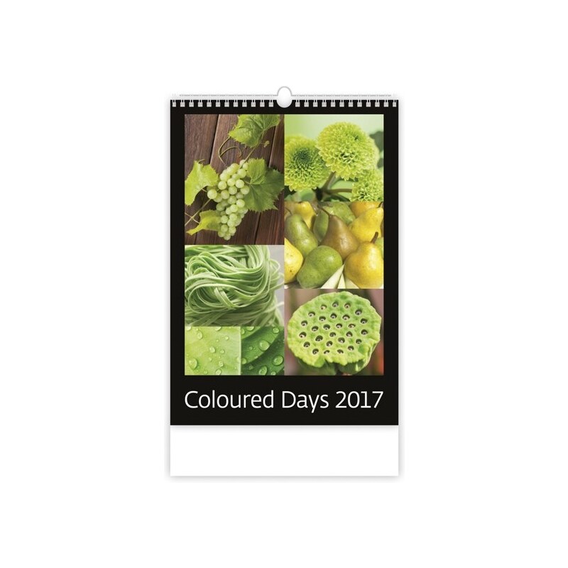 Helma 365, s.r.o. Nástěnný kalendář Coloured Days 2017 N136-17