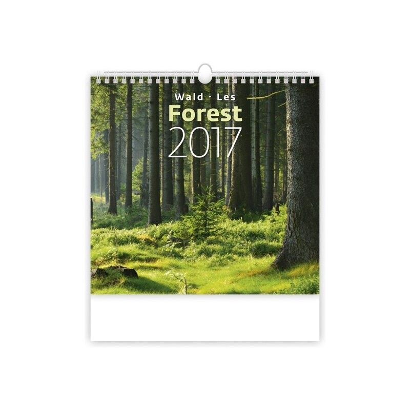 Helma 365, s.r.o. Nástěnný kalendář Les - Forest 2017 N161-17