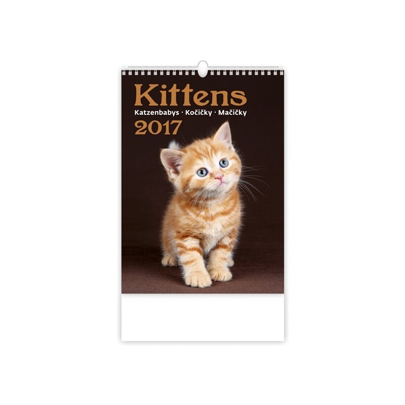 Helma 365, s.r.o. Nástěnný kalendář Kočičky - Kittens 2017 N170-17