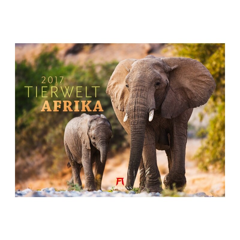 Ackermann Kunstverlag Nástěnný kalendář Fauna Afriky / Tierwelt Afrika 2017 17AC2701