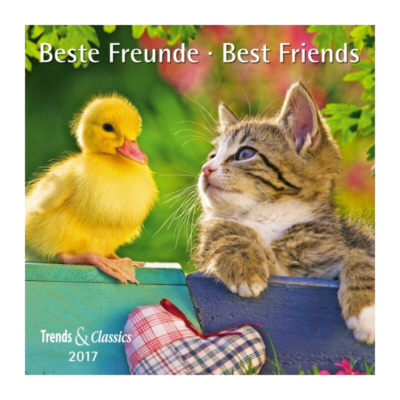 DuMont Kalenderverlag GmbH & Co. KG Nástěnný kalendář Nejlepší přátelé / Beste Freunde T&C 2017 17DU3363