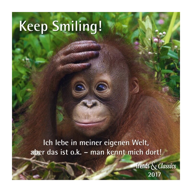 DuMont Kalenderverlag GmbH & Co. KG Nástěnný kalendář Vždy s úsměvem! / Keep smiling! T&C 2017 17DU3374