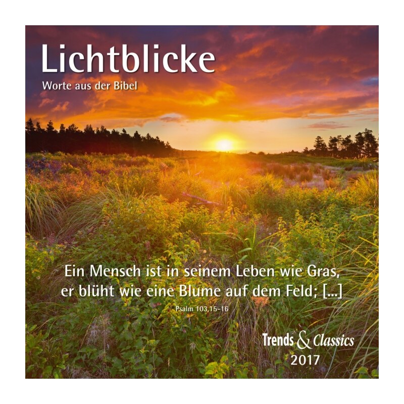 DuMont Kalenderverlag GmbH & Co. KG Nástěnný kalendář Hra světla / Lichtblicke T&C 2017 17DU3382