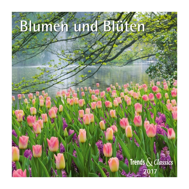 DuMont Kalenderverlag GmbH & Co. KG Nástěnný kalendář Květiny / Blumen und Blüten T&C 2017 17DU3392
