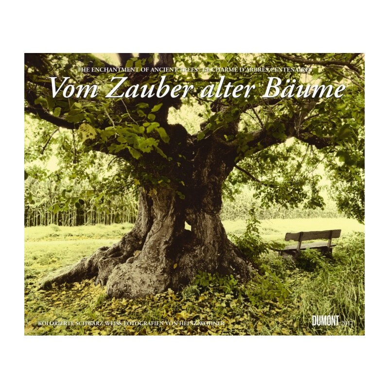 DuMont Kalenderverlag GmbH & Co. KG Nástěnný kalendář Kouzlo starých stromů / Vom Zauber alter Bäume 2017 17DU3412