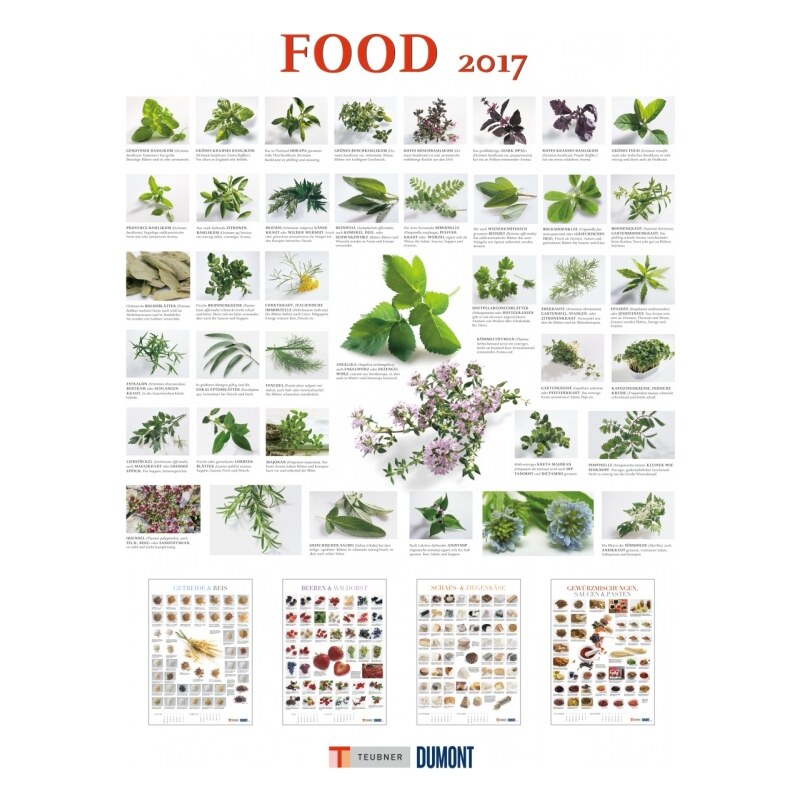DuMont Kalenderverlag GmbH & Co. KG Nástěnný kalendář Jídlo / Food 2017 17DU3419