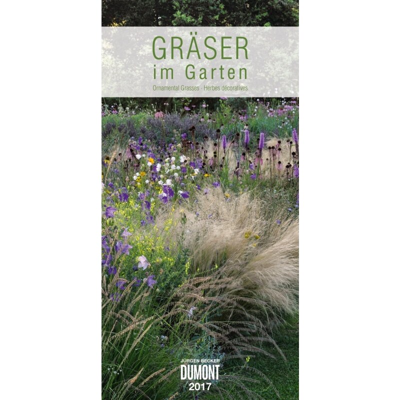 DuMont Kalenderverlag GmbH & Co. KG Nástěnný kalendář Trávy v zahradě / Gräser im Garten LS 2017 17DU3458