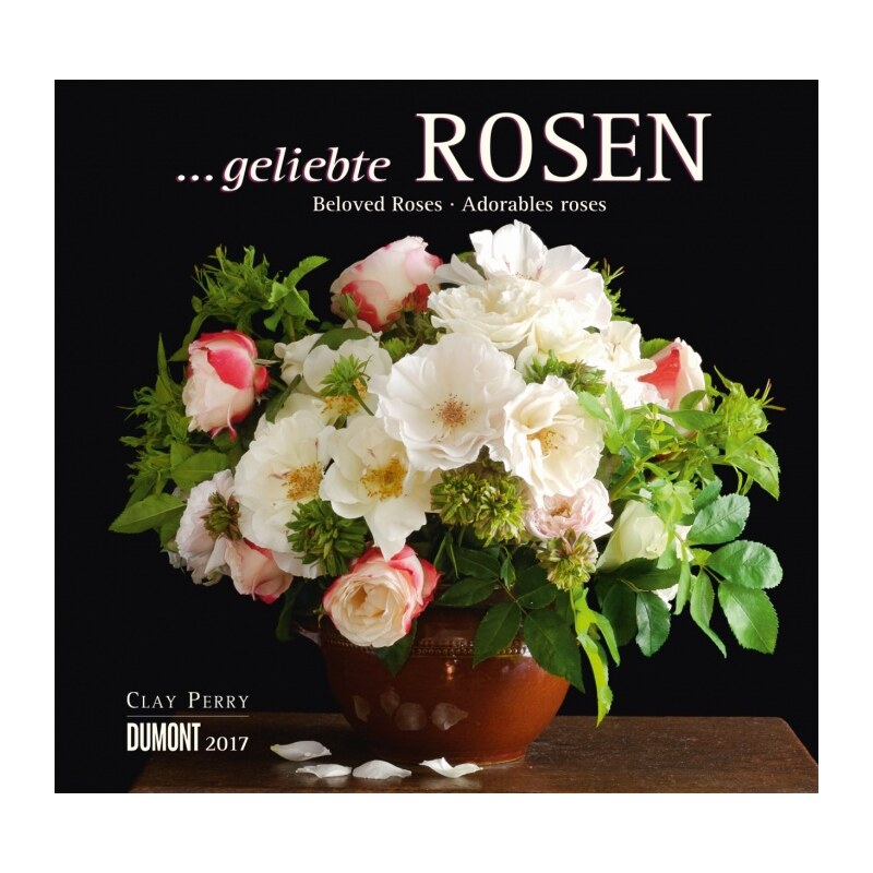 DuMont Kalenderverlag GmbH & Co. KG Nástěnný kalendář Růže / ...geliebte Rosen 2017 17DU3470