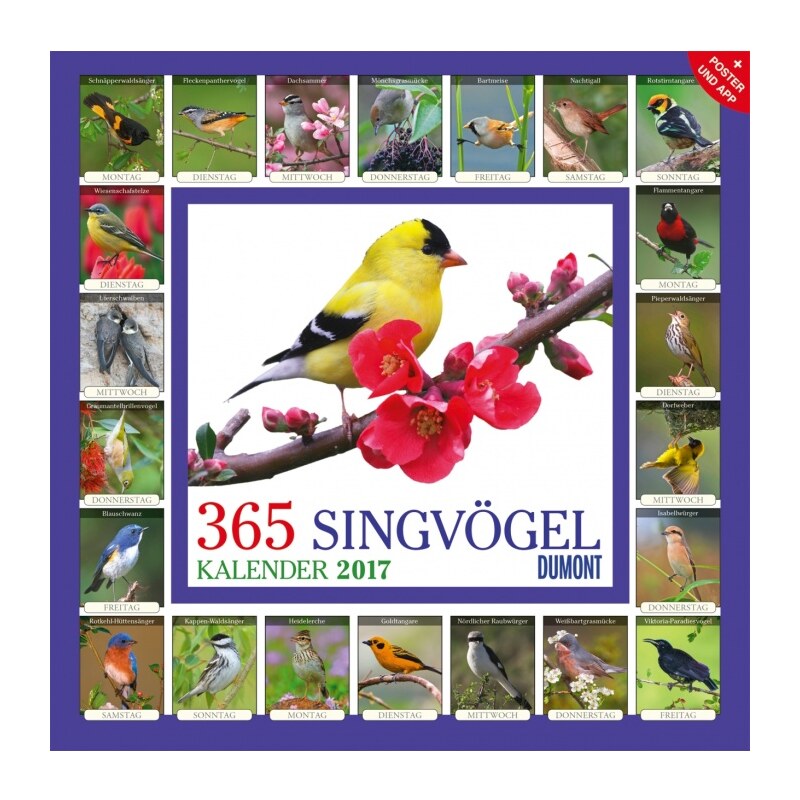 DuMont Kalenderverlag GmbH & Co. KG Nástěnný kalendář 365 Zpěvných ptáků / 365 Singvögel 2017 17DU3536