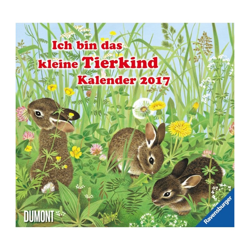 DuMont Kalenderverlag GmbH & Co. KG Nástěnný kalendář Jsem mláďátko / Ich bin das kleine Tierkind 2017 17DU3582